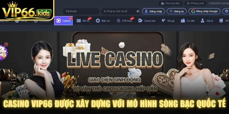 Casino VIP66 được xây dựng với mô hình sòng bạc quốc tế