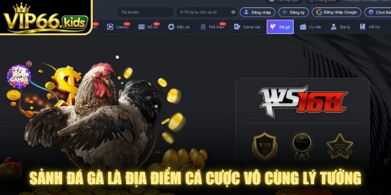 Sảnh đá gà là địa điểm cá cược vô cùng lý tưởng