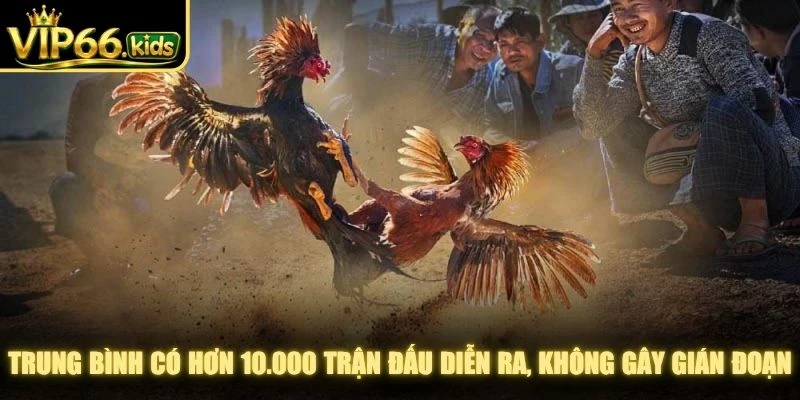 Trung bình có hơn 10.000 trận đấu diễn ra, không gây gián đoạn khi trải nghiệm