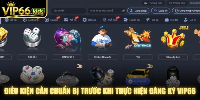 Điều kiện cần chuẩn bị trước khi thực hiện đăng ký VIP66