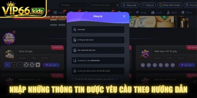 Nhập những thông tin được yêu cầu theo hướng dẫn
