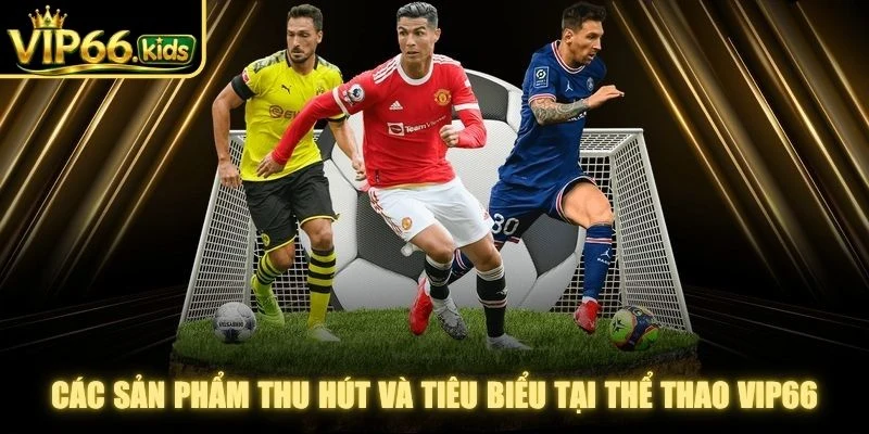 Các sản phẩm thu hút và tiêu biểu tại thể thao VIP66