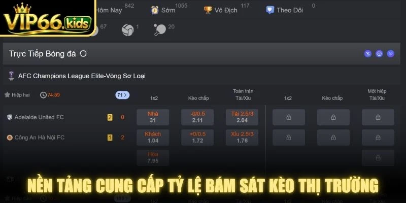 Nền tảng cung cấp tỷ lệ bám sát kèo thị trường